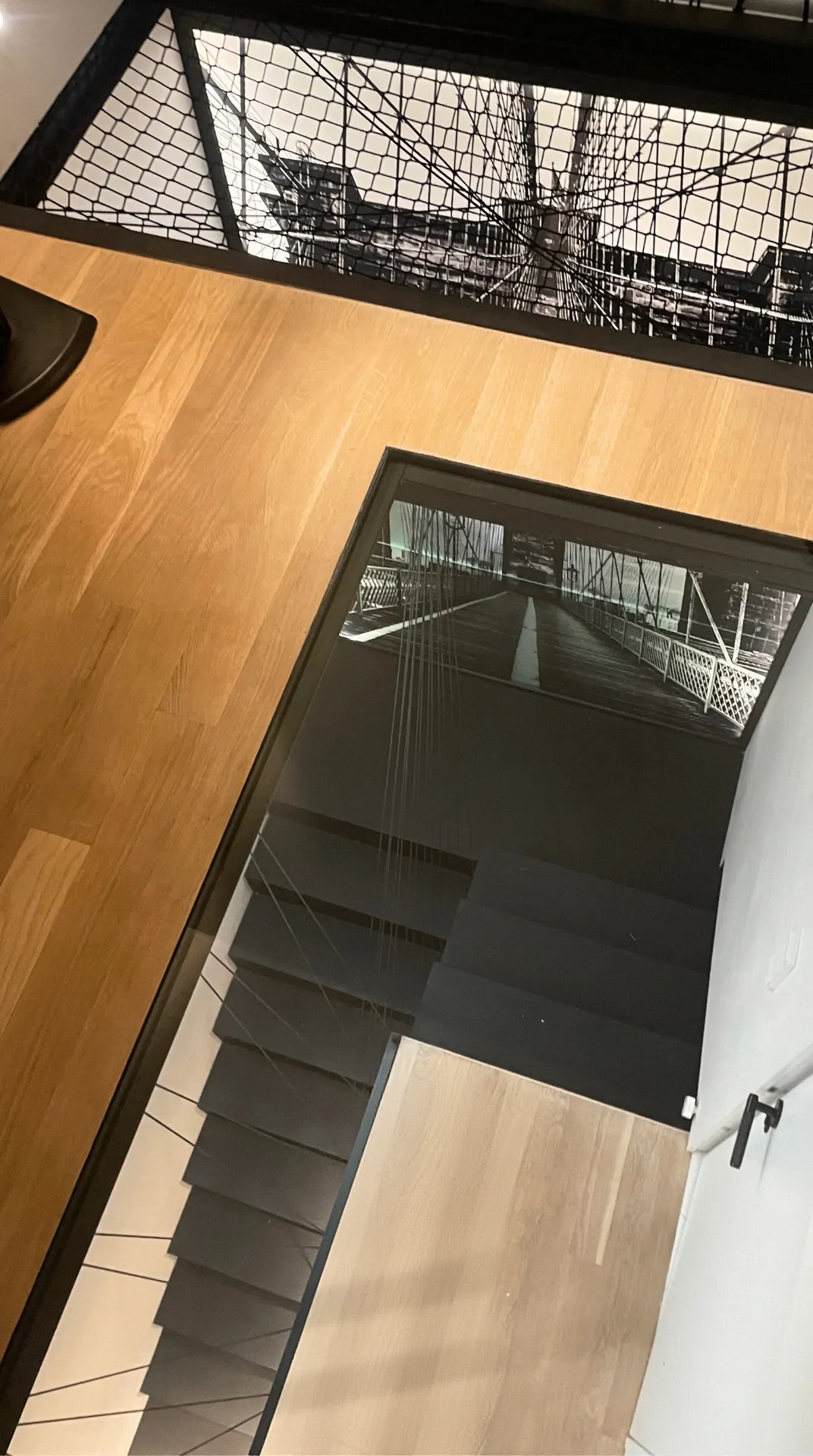 ocelove patro v projektu brooklyn